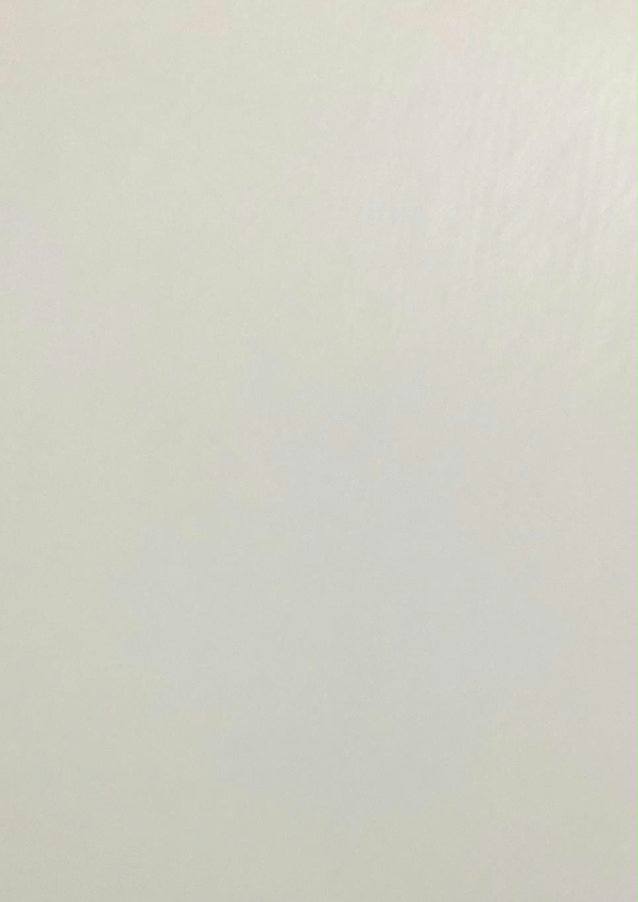 天使白